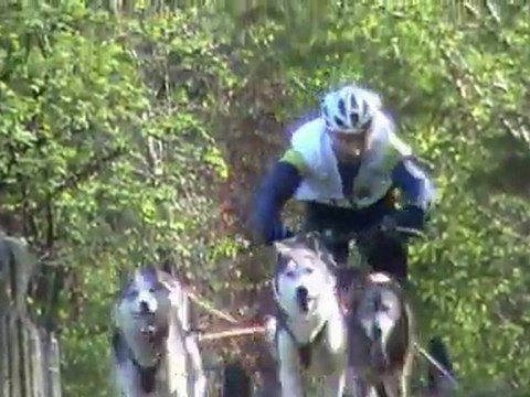 Championnat National