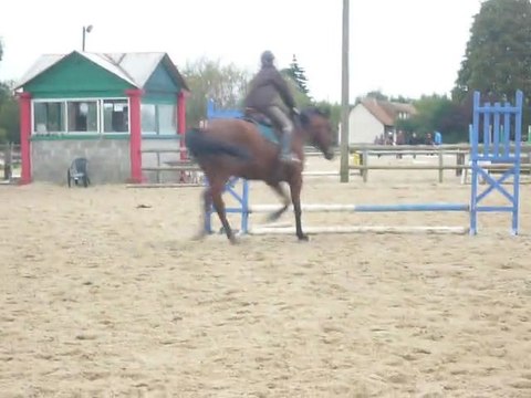 Pauline et Eglon - Enchaînement barres au sol/bleu/oxer jaune