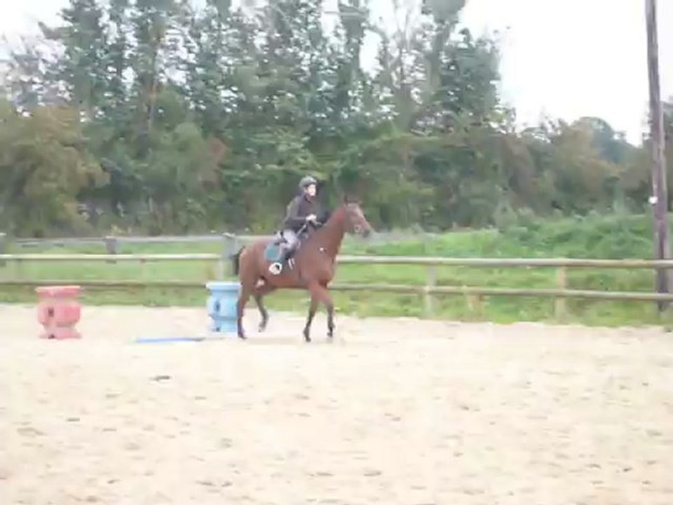 Pauline et Eglon - Cavalettis