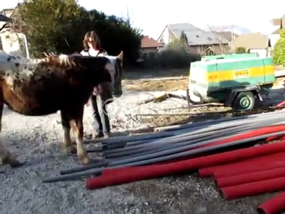 Aloha 6 février 2011