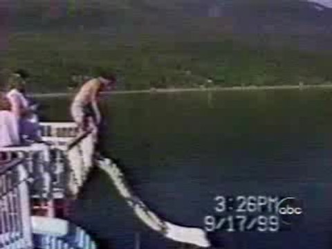 best of de gamelle chute