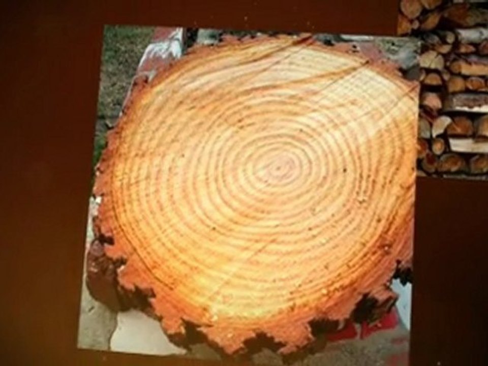 Dayton Firewood