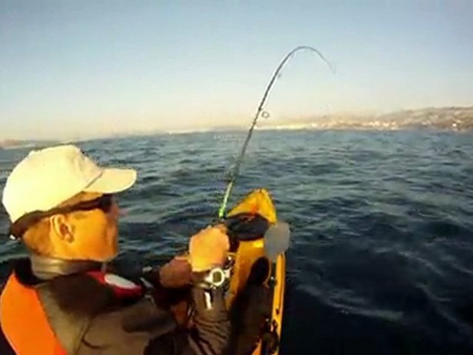 Pélamide 7,1kg en kayak HD KAYAK FISHING OCEAN KAYAK