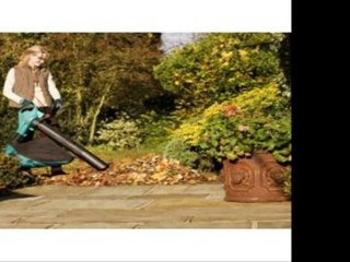 Bosch Garten Laubsauger ALS 25