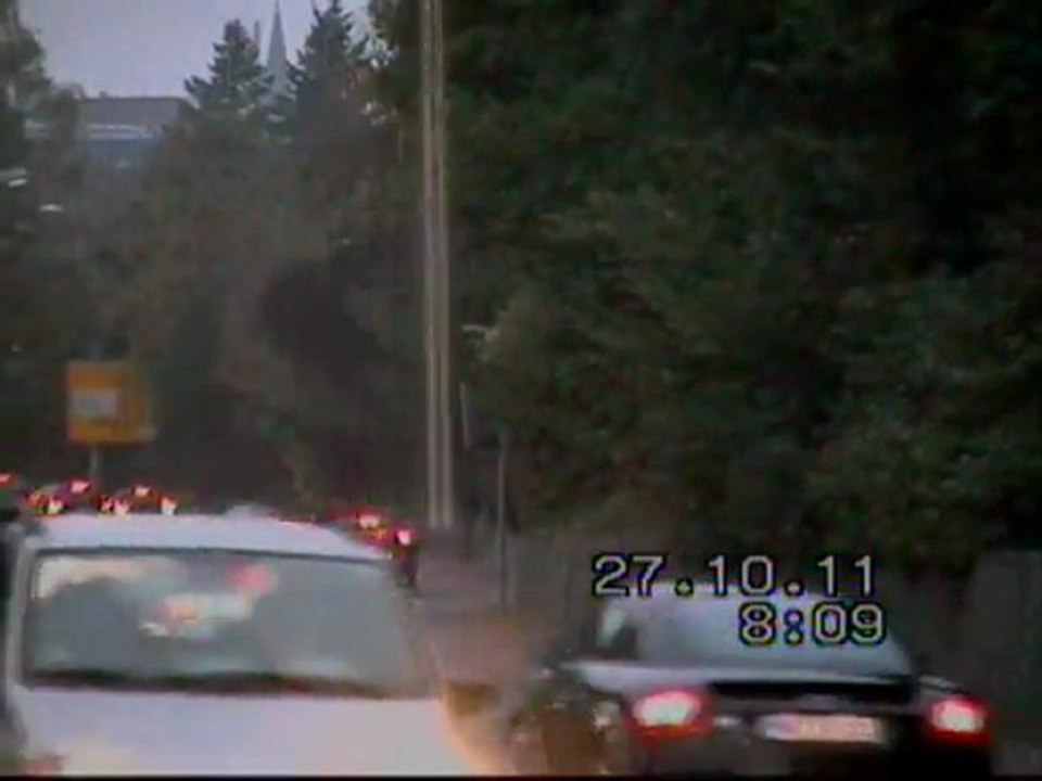 Altwiesloch_2011-10-27_rueck_suedl