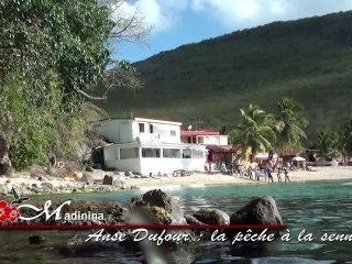 Martinique : pêche à la senne à Anse Dufour