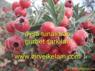 GEZLEVİ'NİN ALIÇ HİHAYESİ