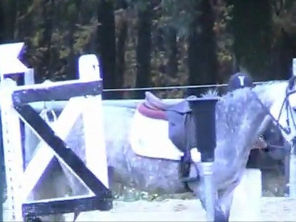 Aline & Queen Club 3