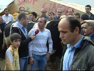 Angus Hakında Halkımızın Görüşleri