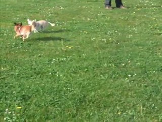 Florentine et Giovanna à la plage verte