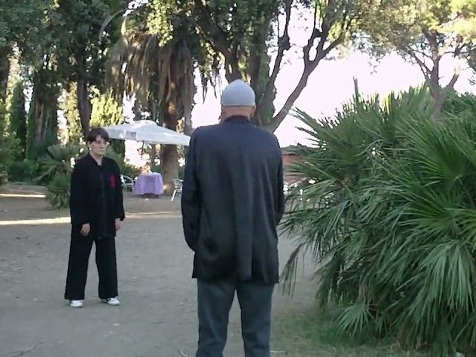 Corsi di Taiji Quan a Roma con il Maestro Flavio Daniele: "Nei Gong Il segreto della forza marziale"(VII)