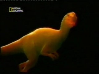 Monolofosaurios: Evolucion de las aves