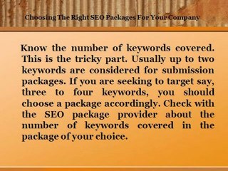 SEO Packages : Affordable SEO Packages | USA | India