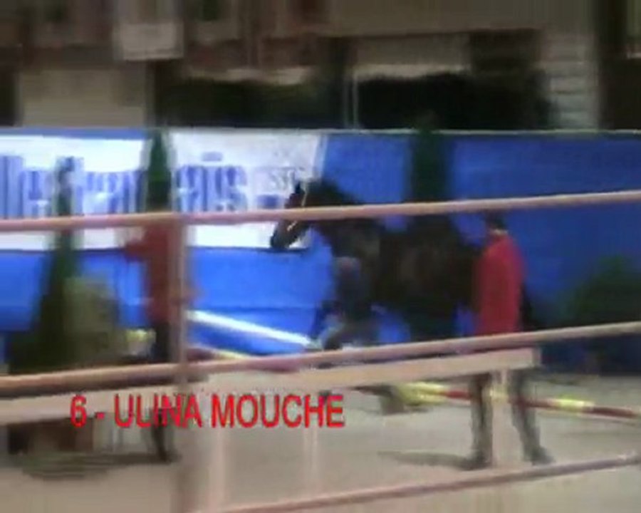 ULINA MOUCHE