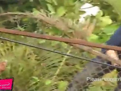 Shah Rukh Khan Dances On Chammak Challo Song For His Fans