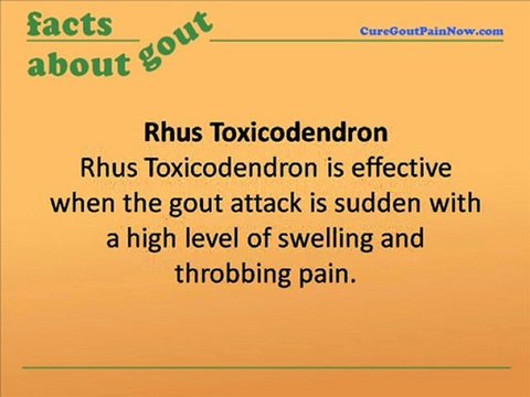 Alternative Homeopathic Remedies For Gout