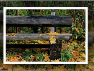ILI KÉP - RÓLAD MESÉL
