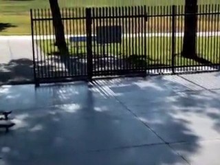 The Monday Edit - Big Daddy Bench Presses Chino