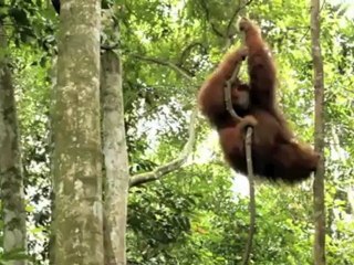 Luxury Holiday Destinations