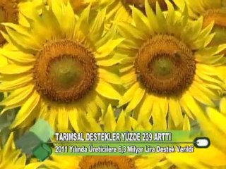 Tarımsal Destekler Yüzde 239 Arttı 26.10.2011