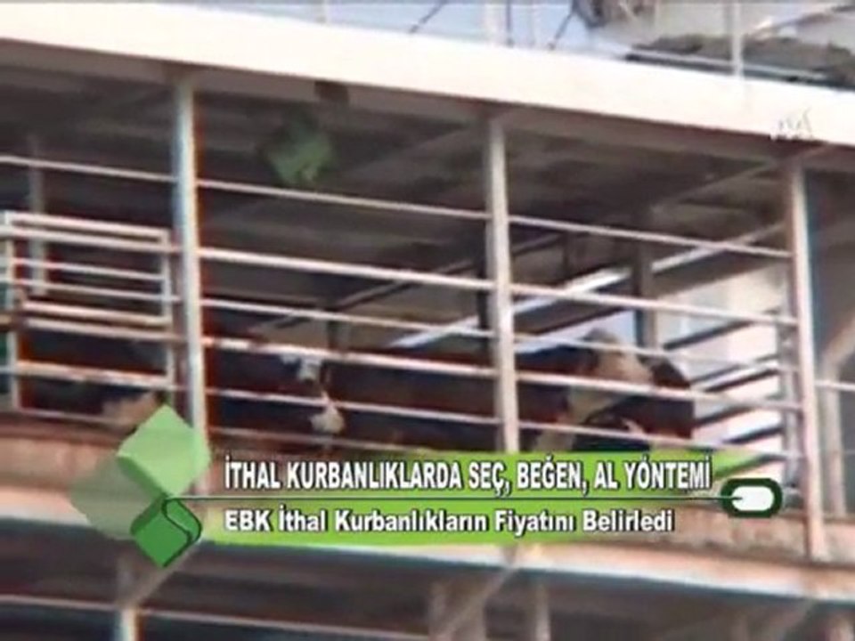 ithal kurbanlıklardasec begen al yontemi  27.10.2011