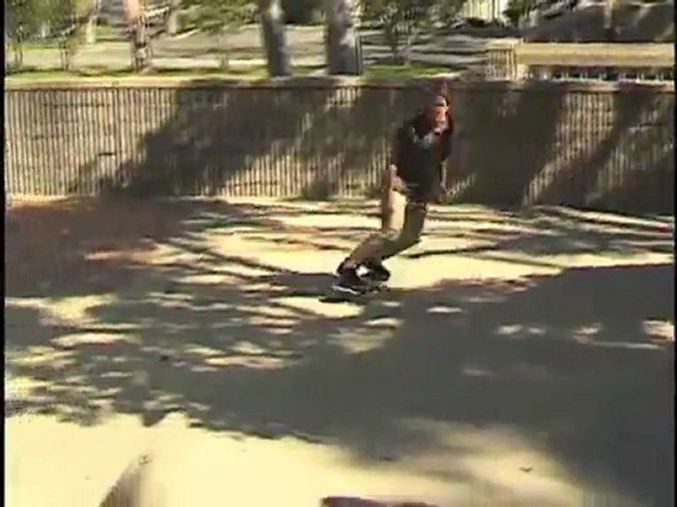 Birdhouse 5 Trick Fix