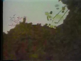 (DVD07) (24) LA SELVA Y SUS HABITANTES