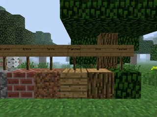 [FR] Minecraft Cubes part 1