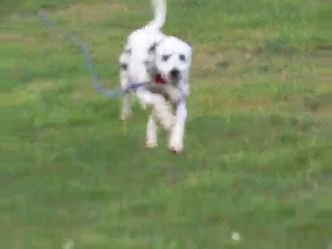 Première séance de rappel...