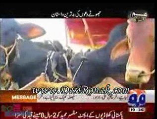 Hum Awam 3 Nov 11 P1