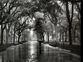 NİCOS- Nihavent Oriental