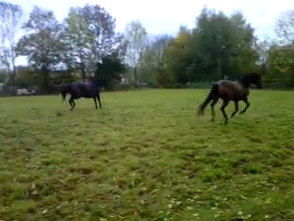 VID 00020-20111103-1718