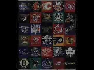 NHL Hockey Fights - Just Like You