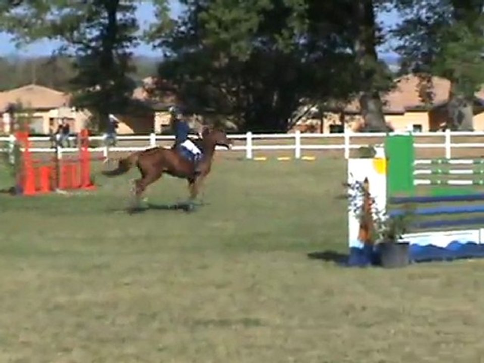 REINE VIT 105 TULMONT 23 OCT 2011