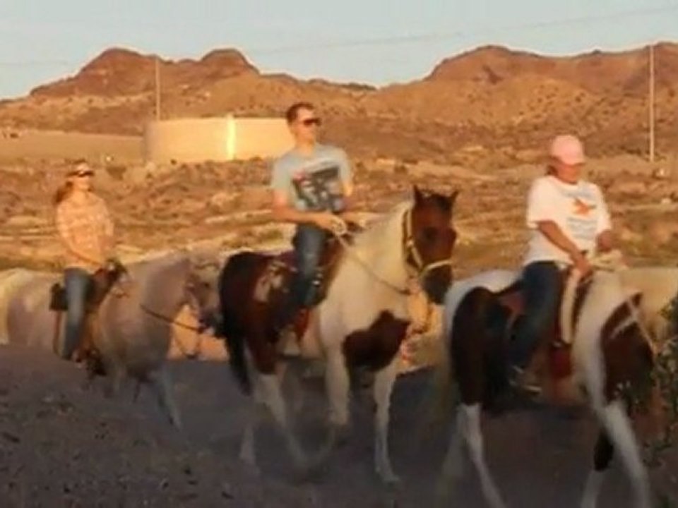 WSOP 2010 Horsing Around With Greg Debora - World Series Of  Poker 2010 - PokerStars.com