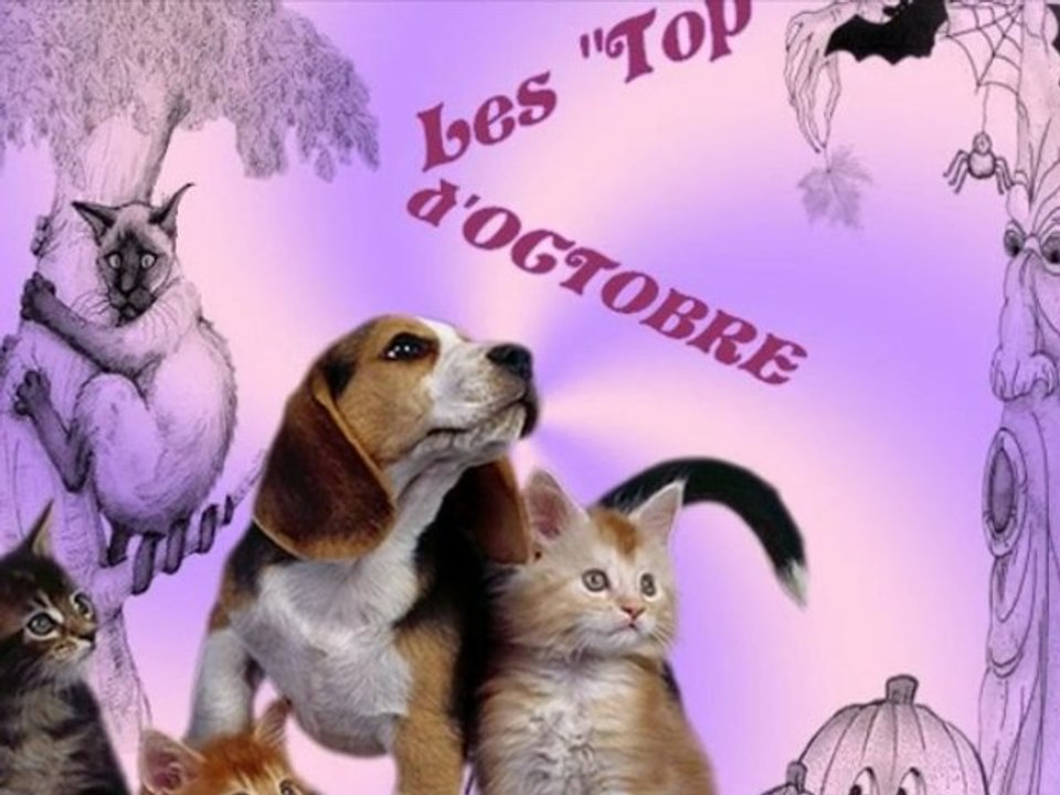 TOP OCTOBRE