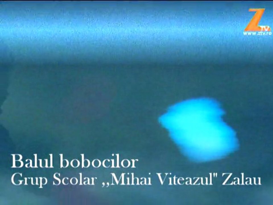 babofi