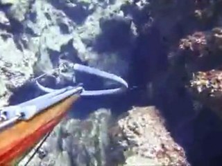 Zıpkınla Balık Avı(Dasitane)