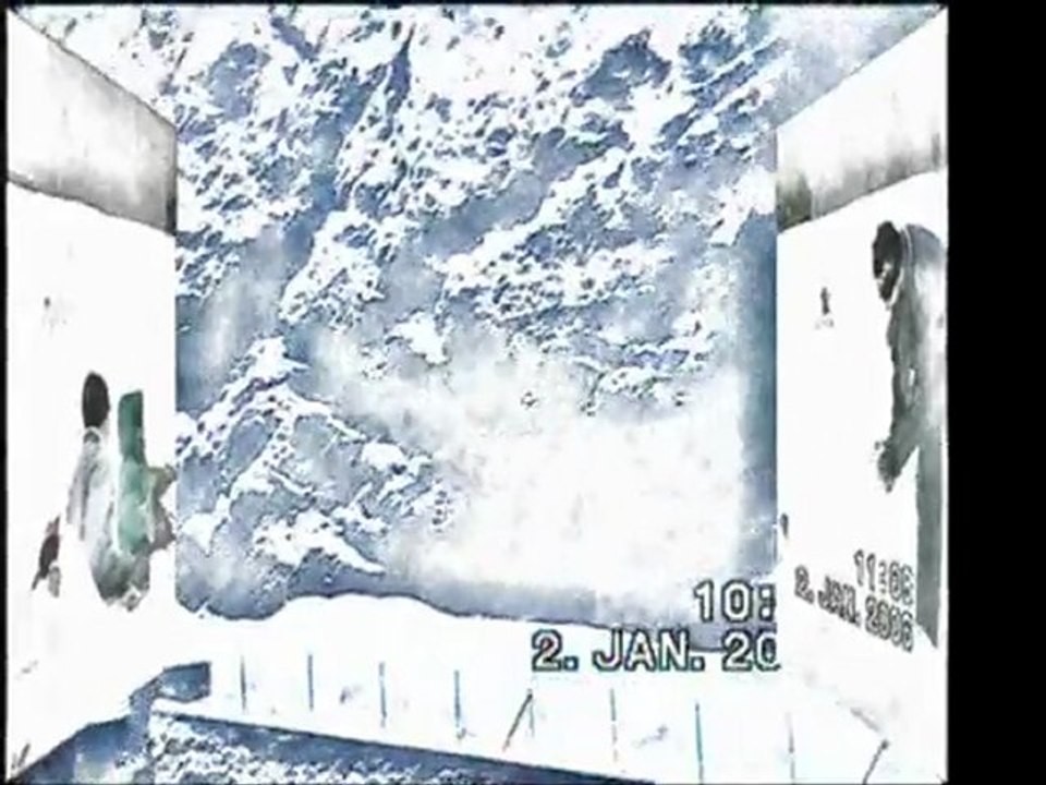 ETOILES DES NEIGES