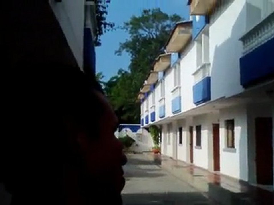 Estilo de vida saludable - gustavo torres