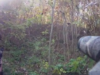 OP "les Loups Entre Eux " fort de Mons