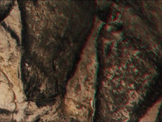 La grotte Chauvet en 3D (anaglyphes)