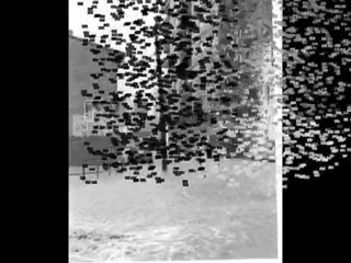 OLIVA FOTOS ANTIGUES  2° PARTE