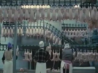 Nous Resterons Sur Terre