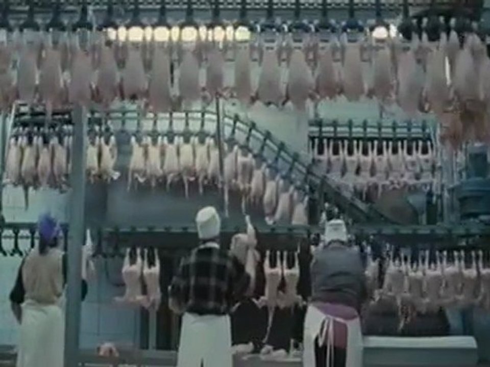 Nous Resterons Sur Terre