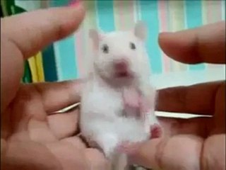 NEJAT-55.dikkat yoğun dozda korku içerir