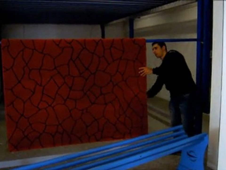 Carpet Hanging System