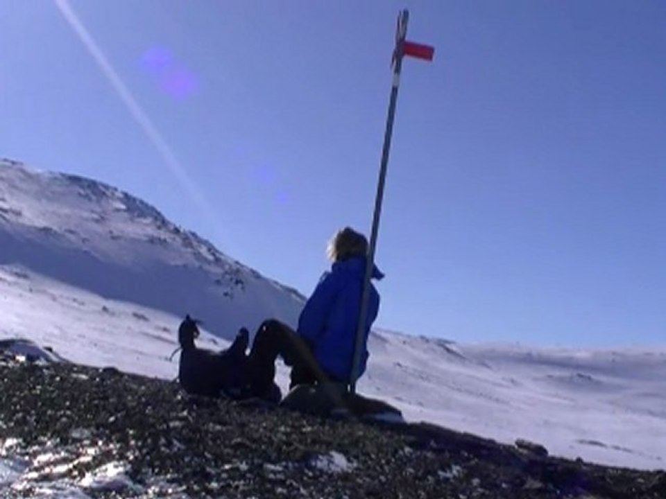 Immersion en pays Sámpi : Laponie Suédoise