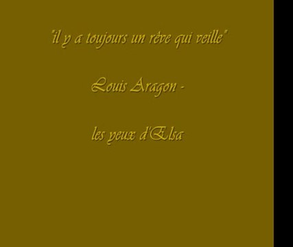 IL N'Y A PAS D'AMOUR HEUREUX