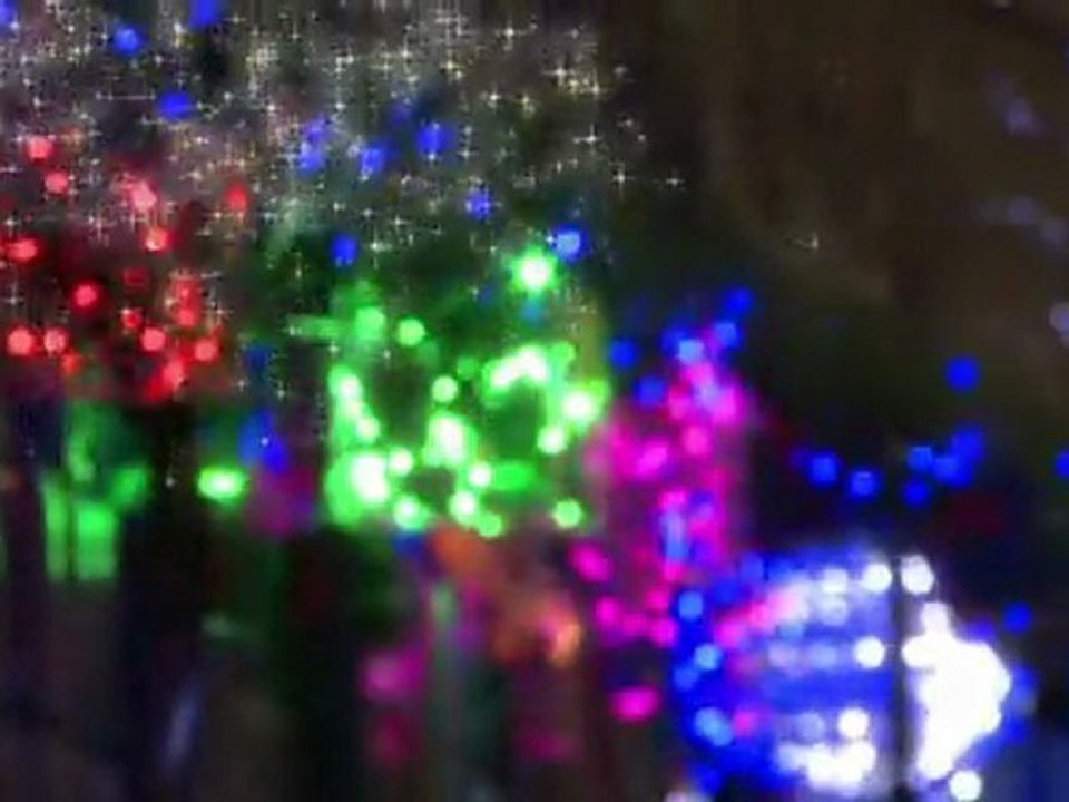 Catégorie Performance - Bellier - La Ferté-Saint-Aubain/Trophées de l'Entreprise du Loiret 2011